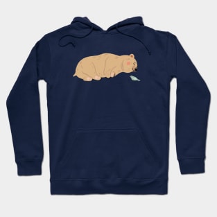 Sleepy Bear Hoodie